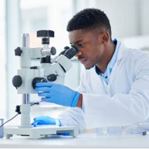 coreon du, Día Africano de la Innovación Científica